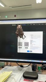쿼카 ar