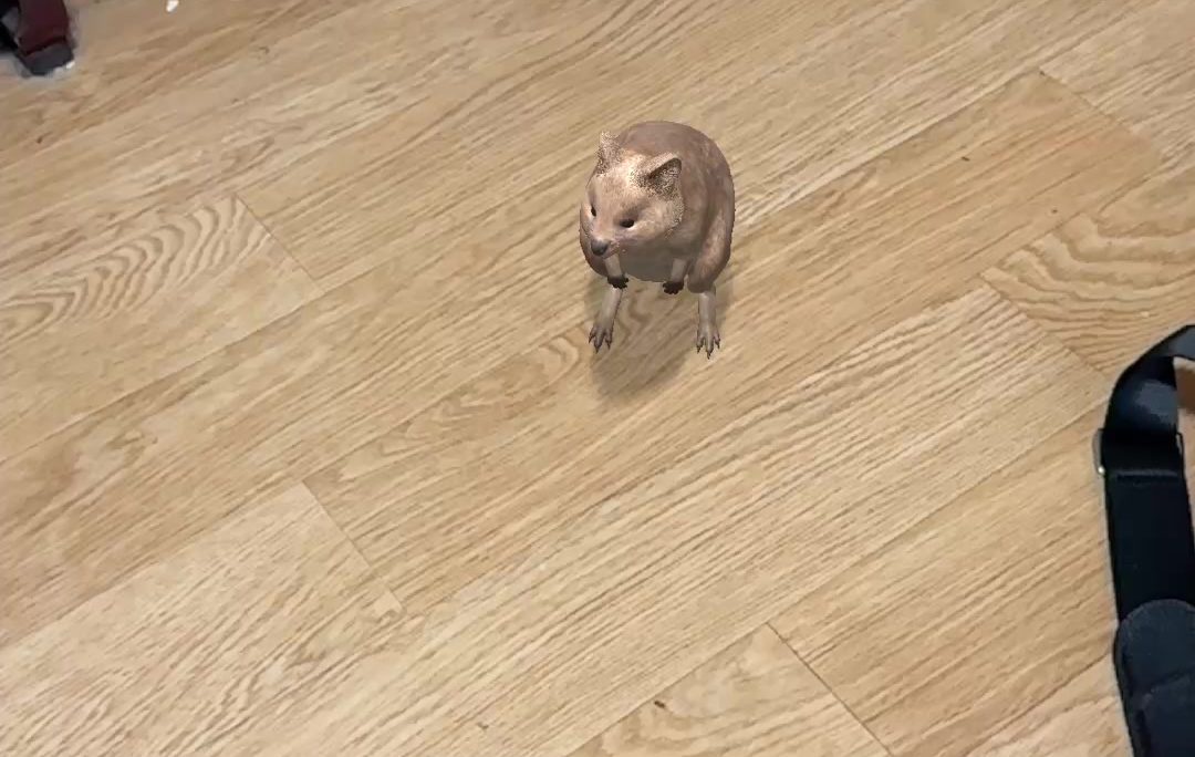 쿼카 ar